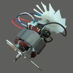 लो वोल्टेज जूस ब्लेंडर मोटर