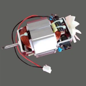 कम वोल्टेज मांस Mincer मोटर