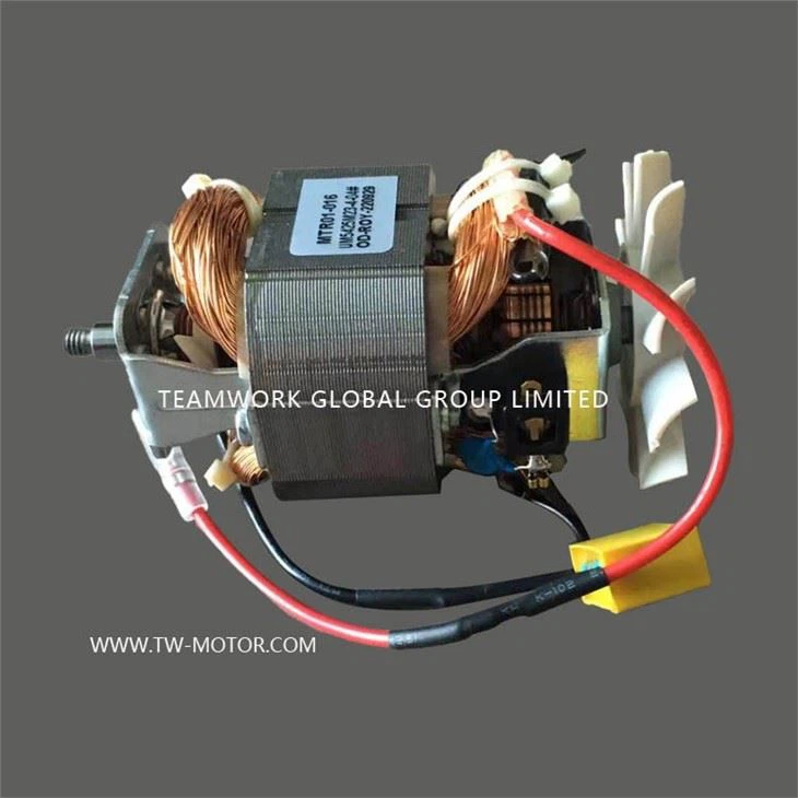 AC Universal Motor 5425