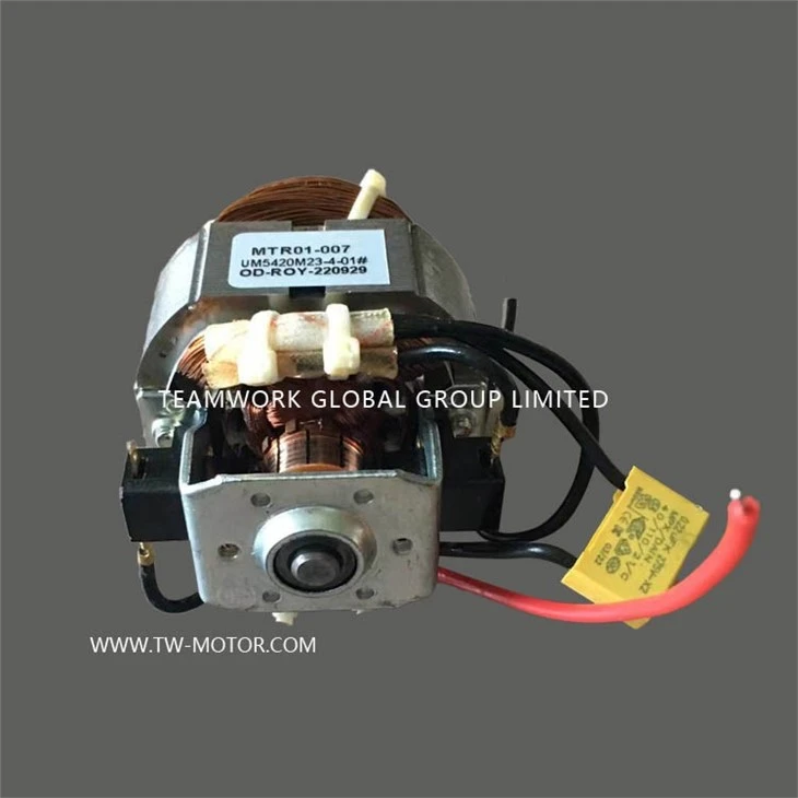 High Speed Food Processor Motor