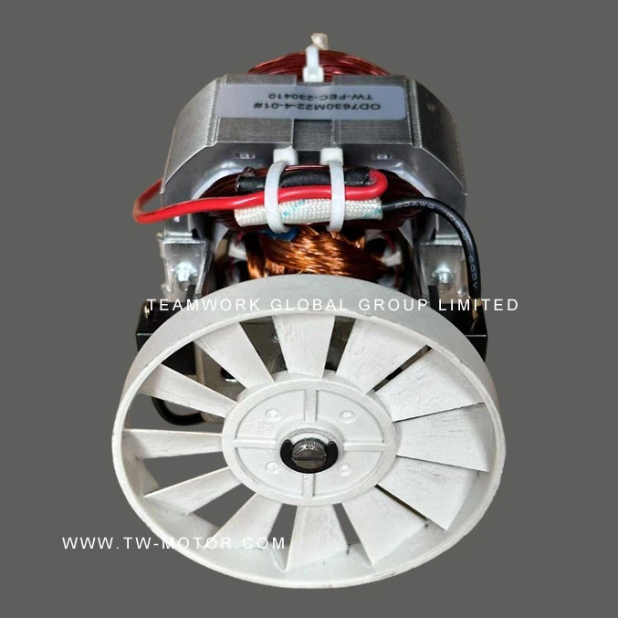 High-Performance Juicer Motor