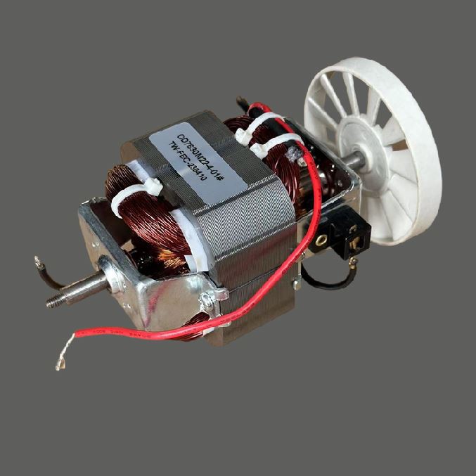 उच्च प्रदर्शन जूसर मोटर