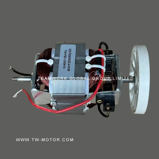 Juice Master Motor