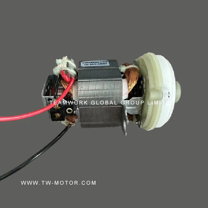 Professional Kitchen Grinder Motor