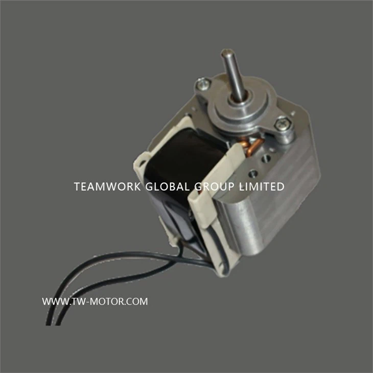 Small Oil Pump Motor