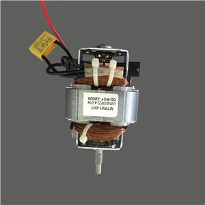 उच्च दक्षता मोटर